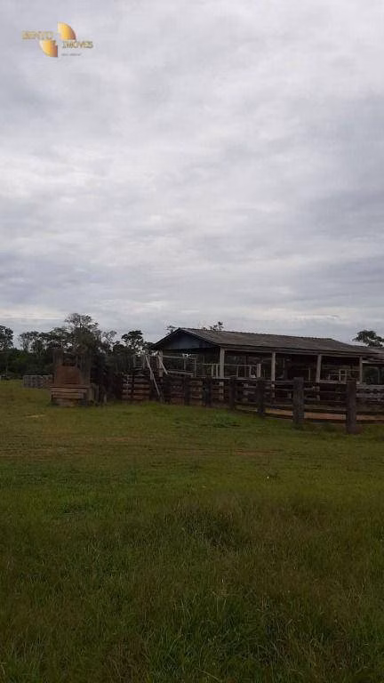 Fazenda de 1.886 ha em Juína, MT