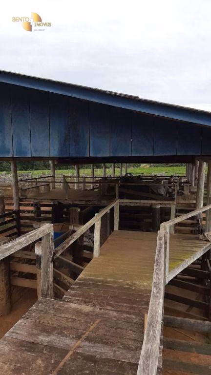 Farm of 4,660 acres in Juína, MT, Brazil