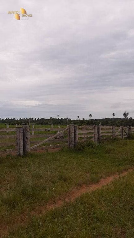 Farm of 4,660 acres in Juína, MT, Brazil