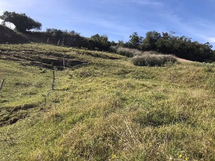 Sítio de 2 ha em Santo Antônio da Patrulha, RS