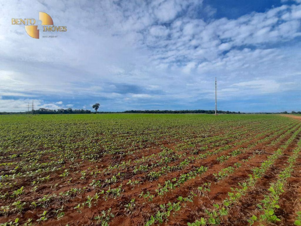 Farm of 1.767 acres in Poconé, MT, Brazil