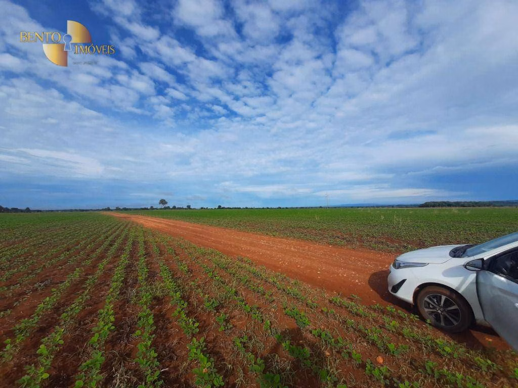 Farm of 1.767 acres in Poconé, MT, Brazil