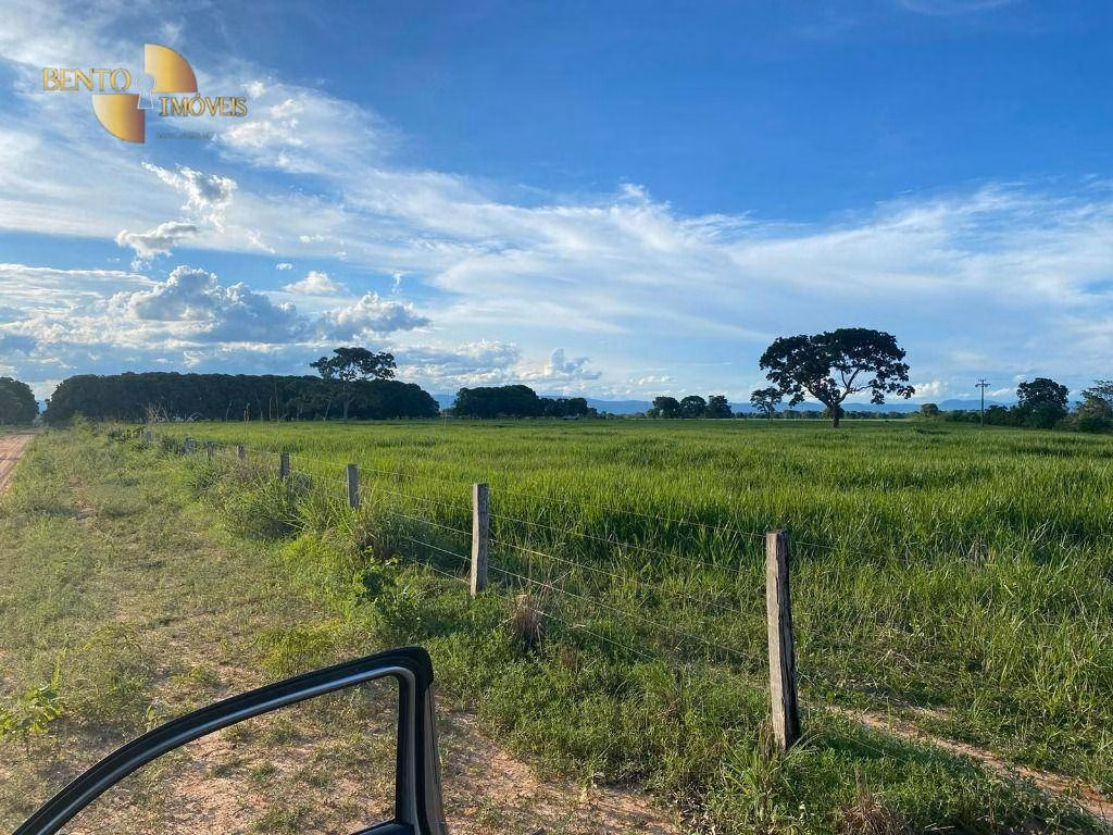 Farm of 1.957 acres in Poconé, MT, Brazil