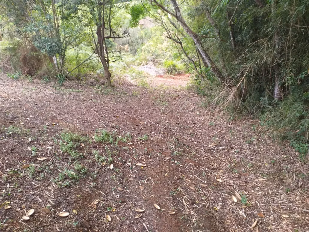 Sítio de 13 ha em São Miguel Arcanjo, SP