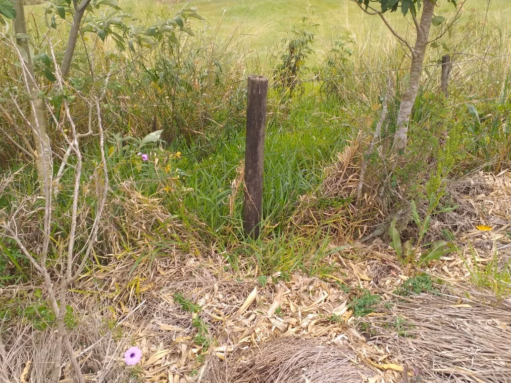 Sítio de 13 ha em São Miguel Arcanjo, SP