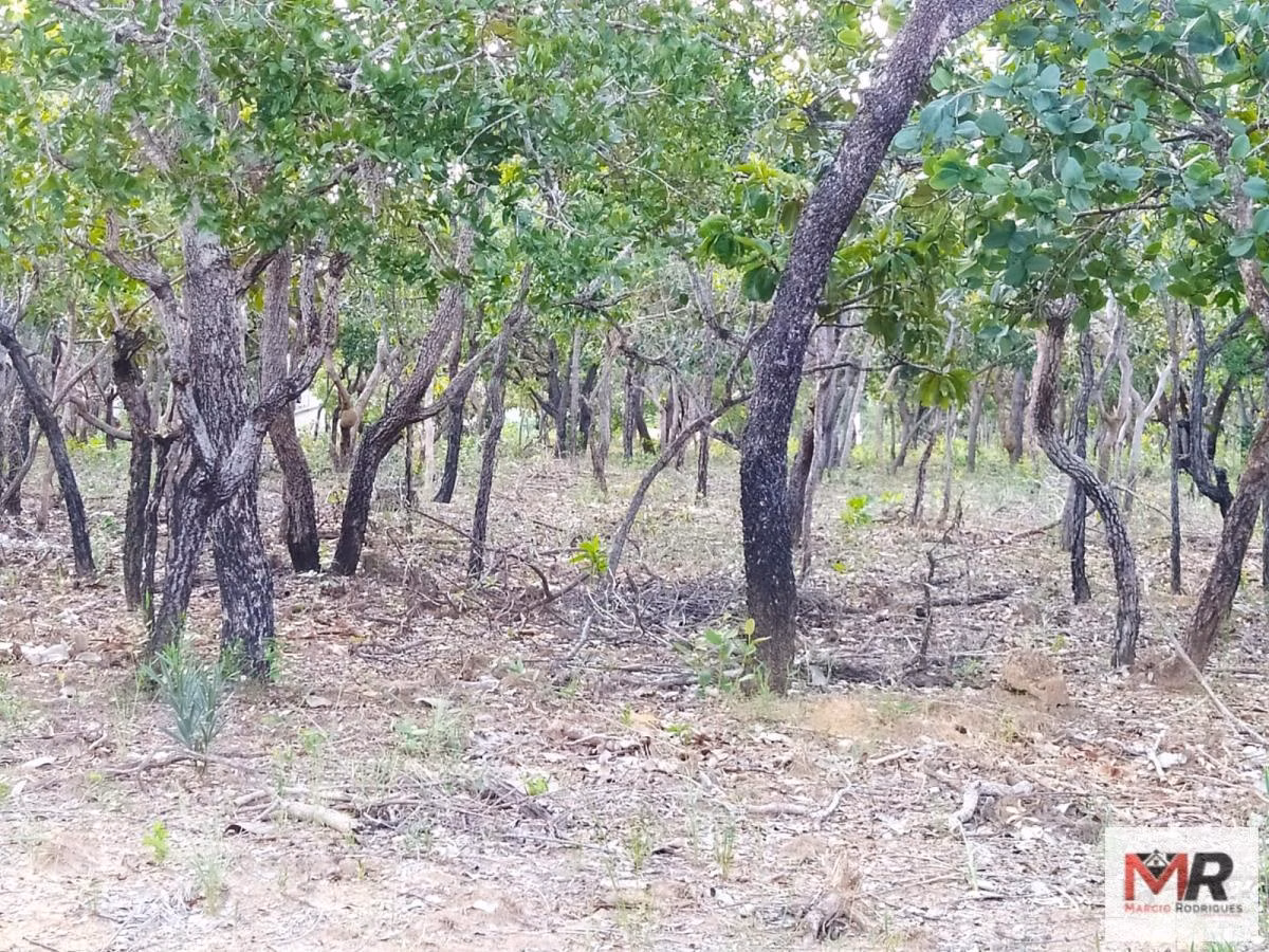 Small farm of 15 acres in Três Marias, MG, Brazil