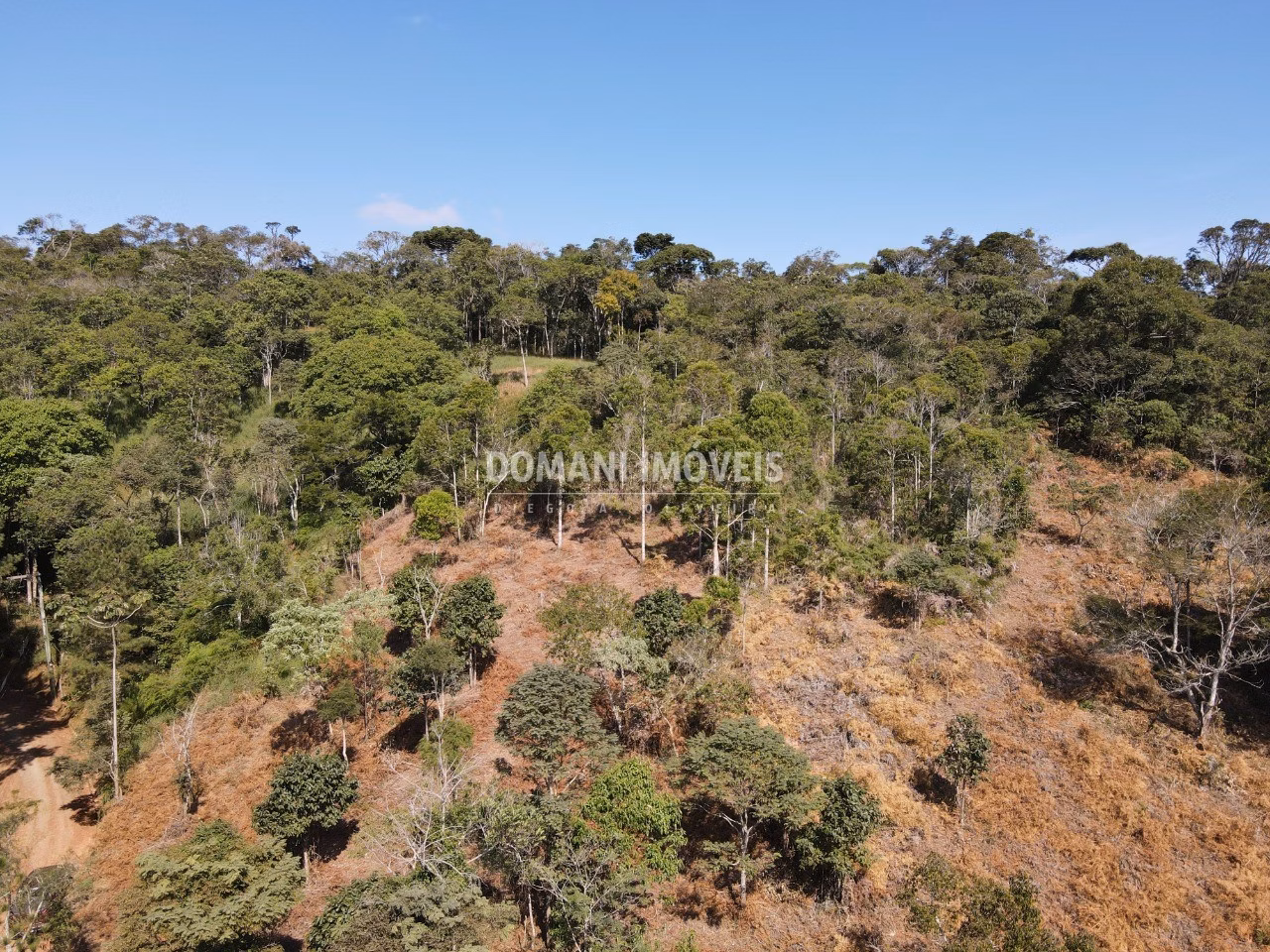Terreno de 5.000 m² em Santo Antônio do Pinhal, SP