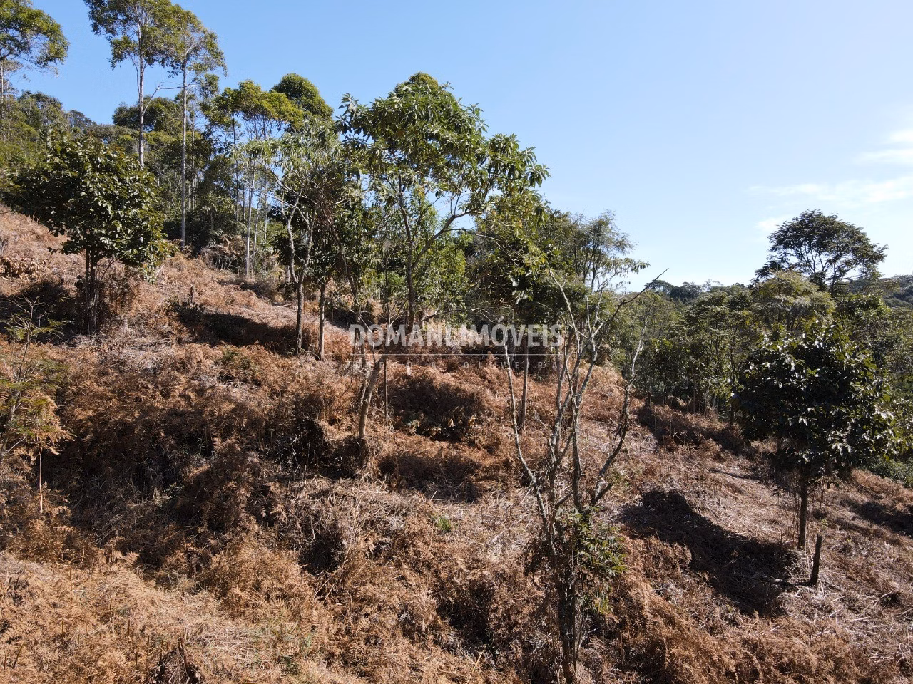 Terreno de 5.000 m² em Santo Antônio do Pinhal, SP