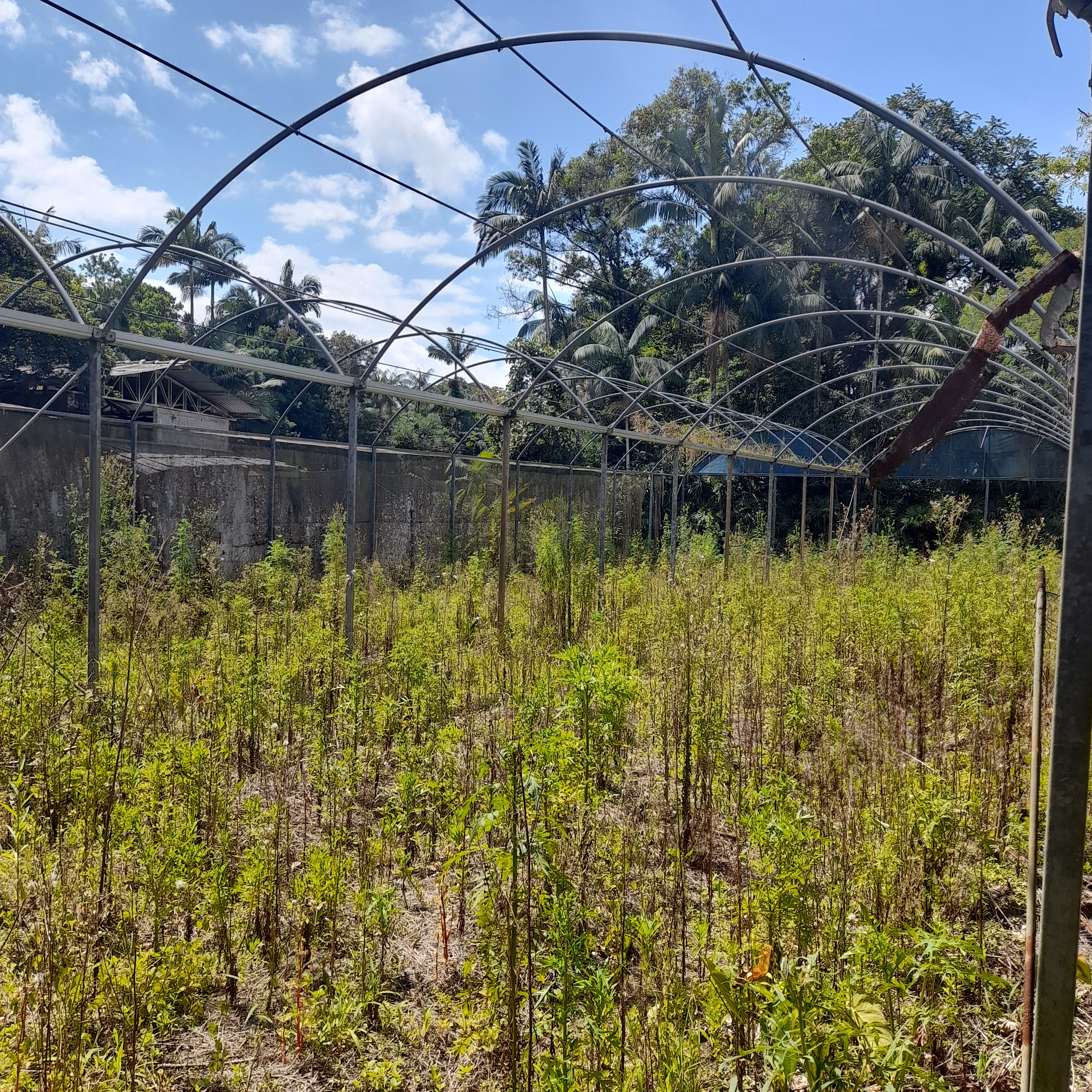 Chácara de 18 ha em Guaratuba, PR