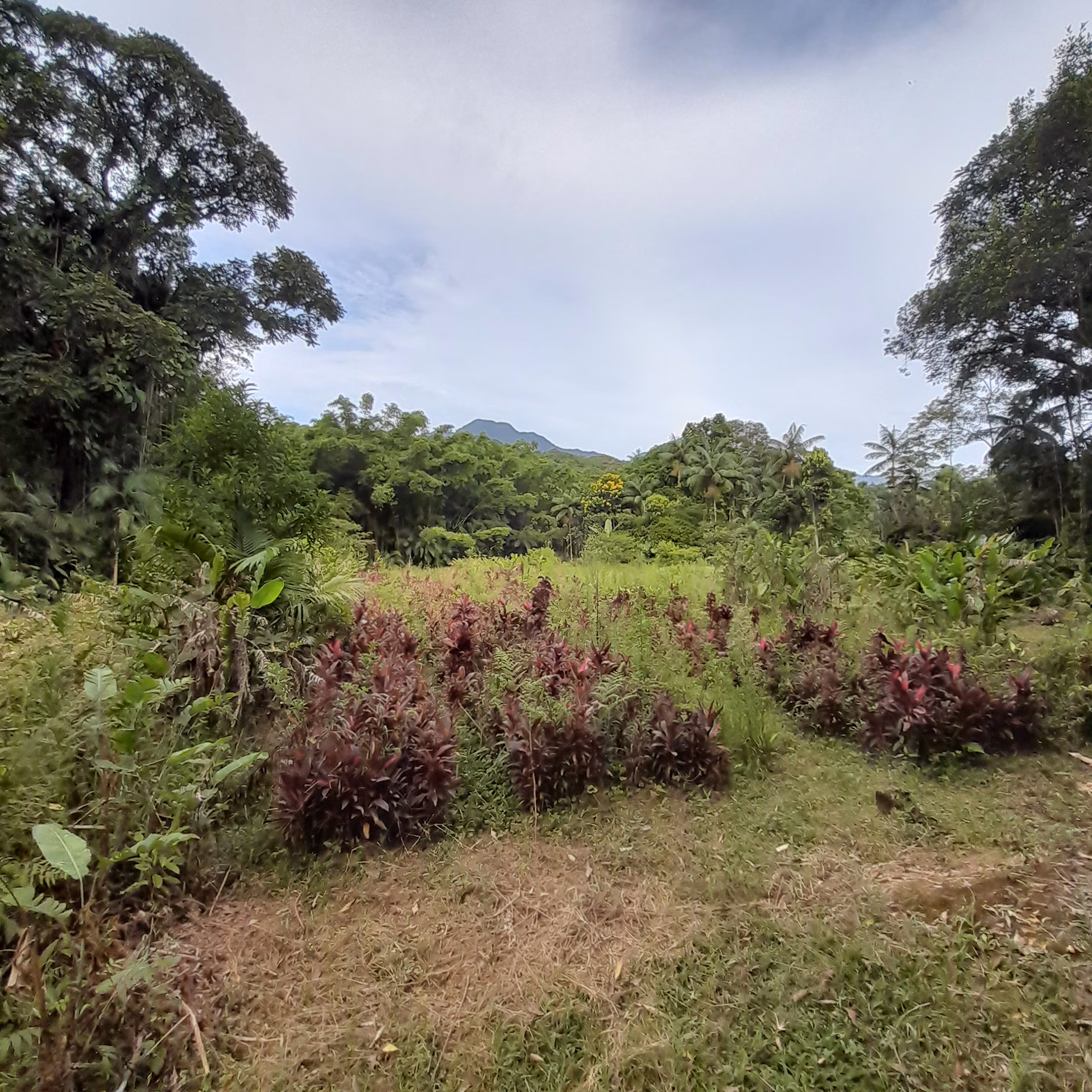 Country home of 45 acres in Guaratuba, PR, Brazil