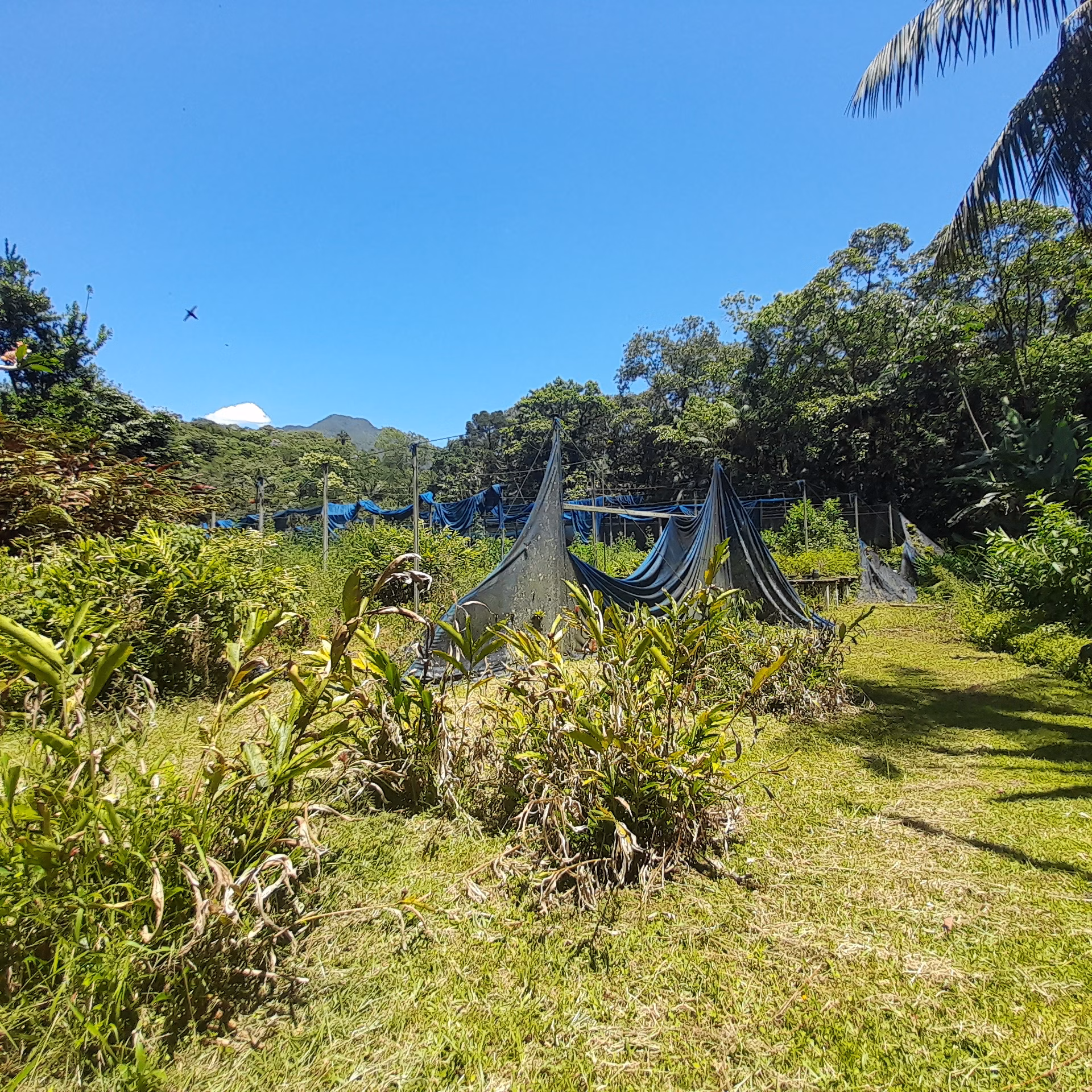 Country home of 45 acres in Guaratuba, PR, Brazil