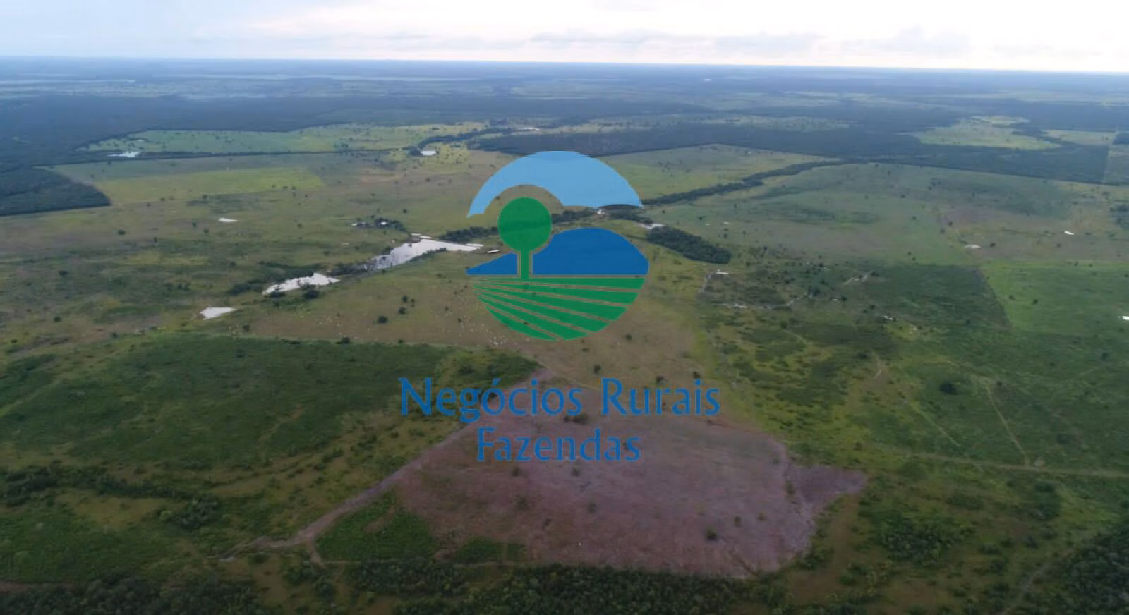 Fazenda de 1.335 ha em Dueré, TO