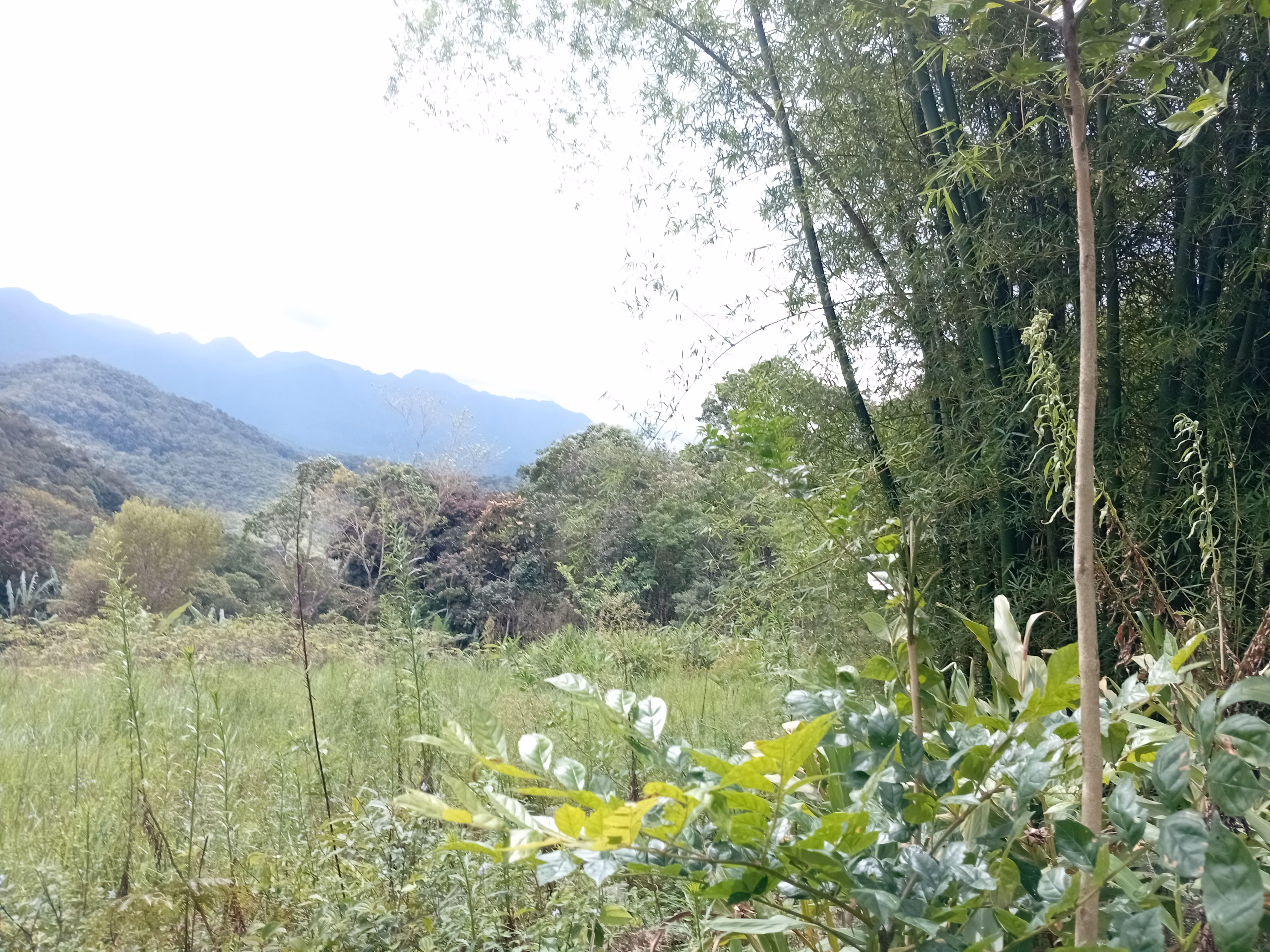 مزرعة صغيرة بمساحة 5,000 m² في Morretes، PR