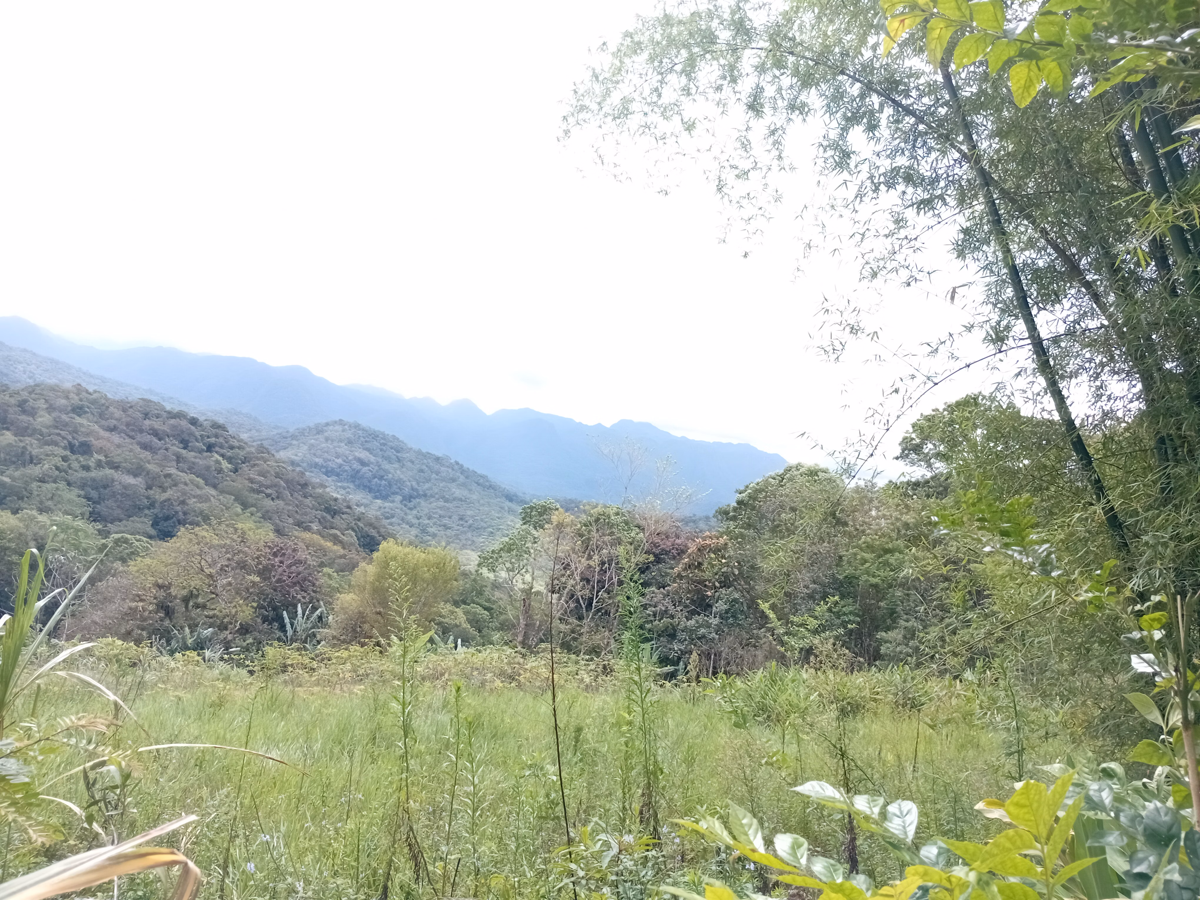 مزرعة صغيرة بمساحة 5,000 m² في Morretes، PR