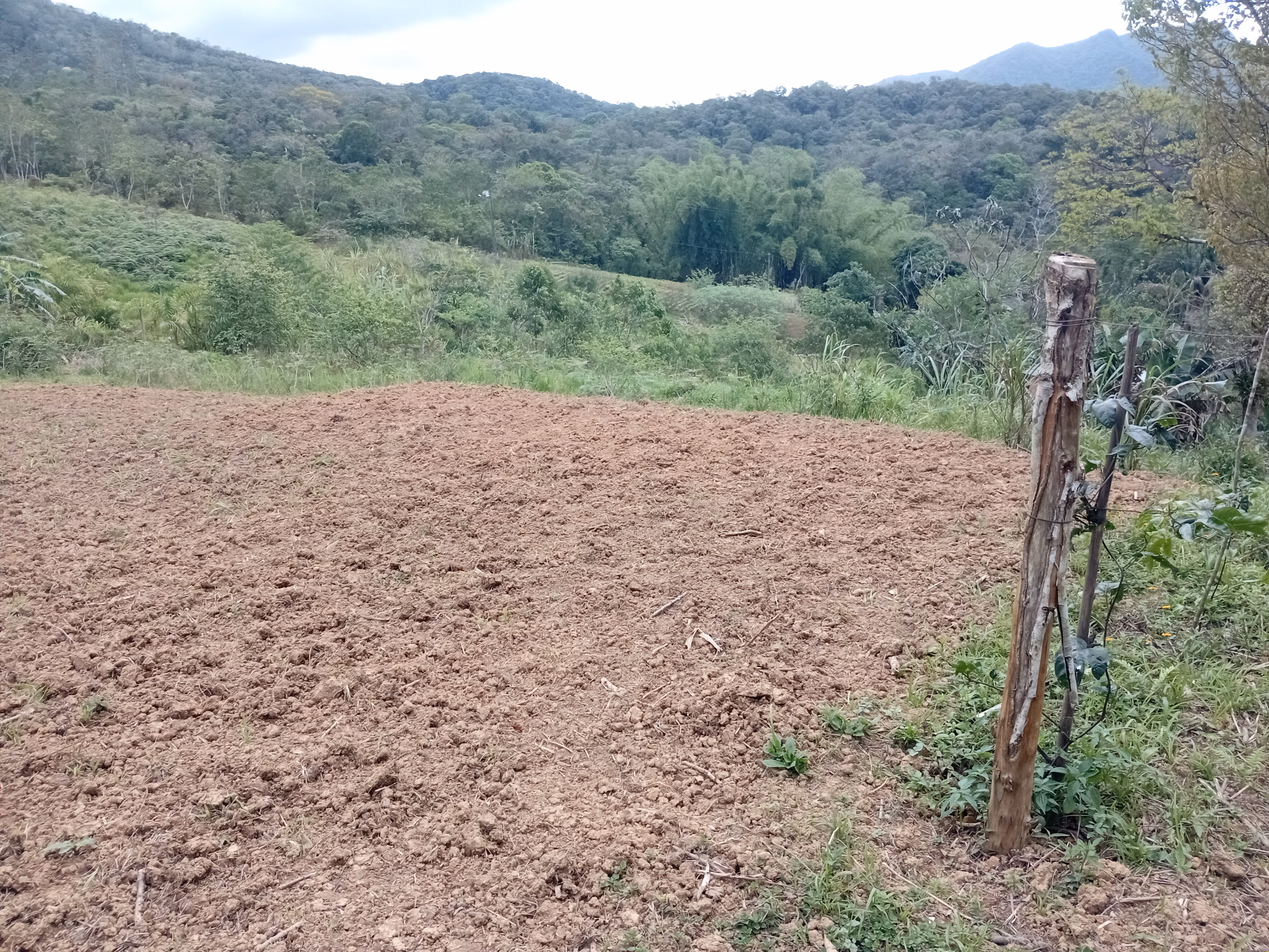 مزرعة صغيرة بمساحة 5,000 m² في Morretes، PR