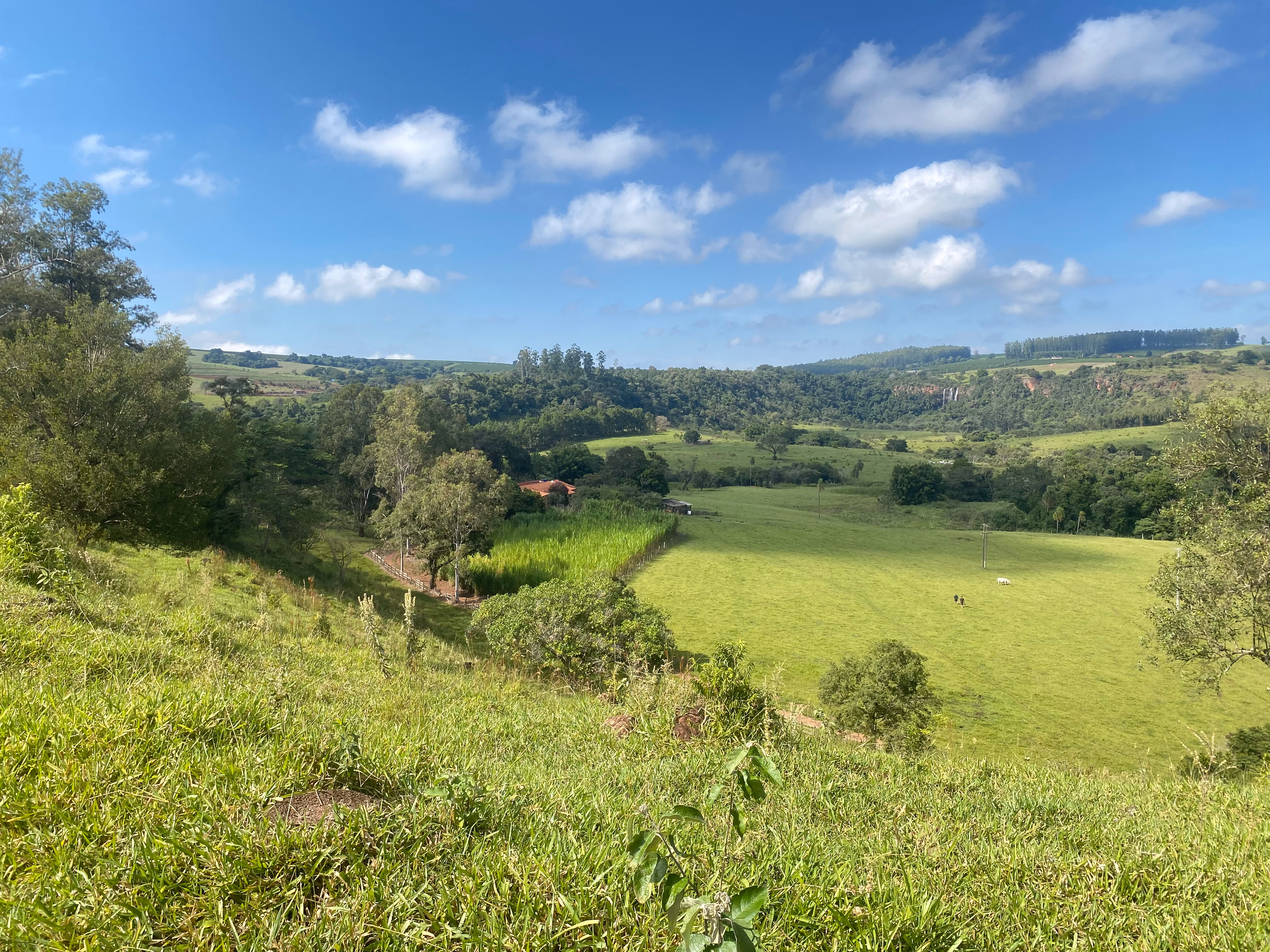Small farm for sale of 24 acres in Piraju, SP, Brazil