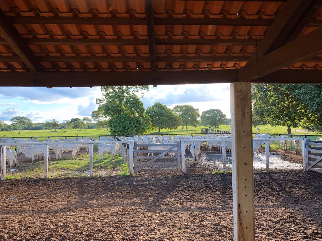 Farm of 19.279 acres in Araguaiana, MT, Brazil