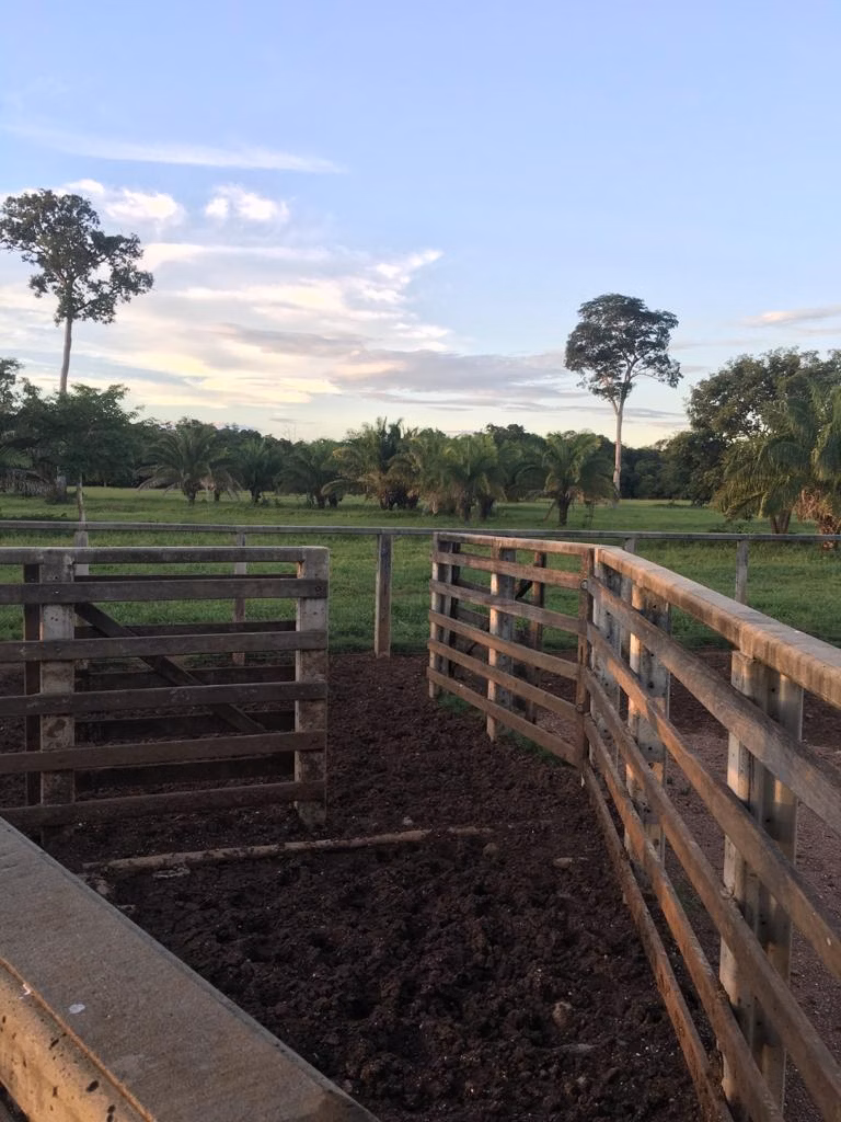 Farm of 19.279 acres in Araguaiana, MT, Brazil