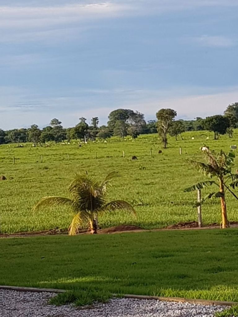 Farm of 19.279 acres in Araguaiana, MT, Brazil