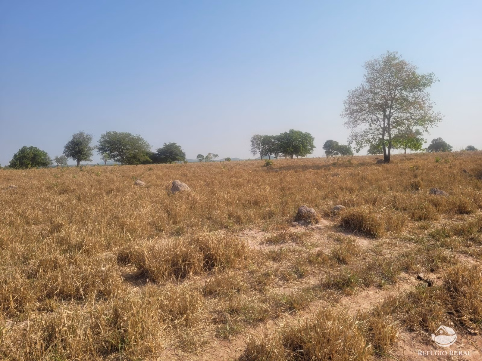 Fazenda de 1.660 ha em Alvorada, TO