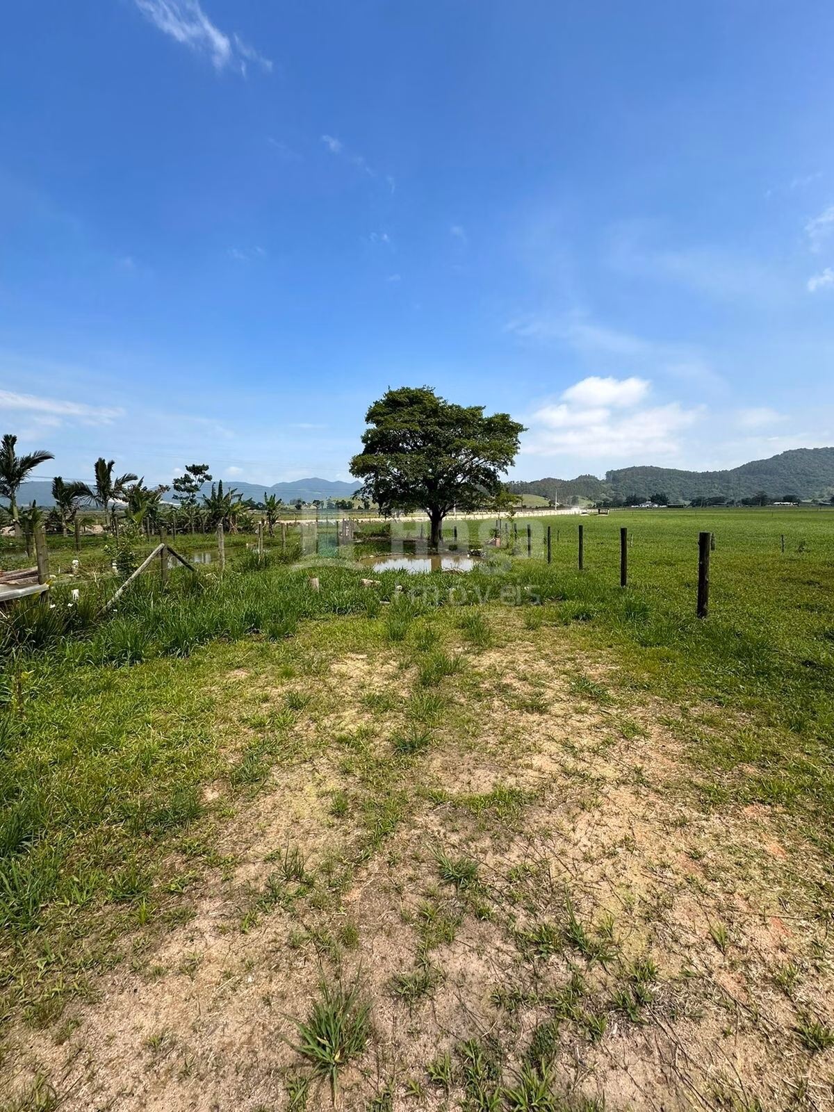 Casa de 800 m² em Tijucas, SC