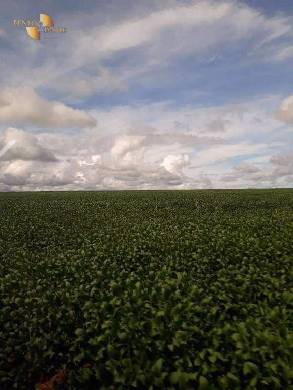 Fazenda de 4.773 ha em Nova Xavantina, MT