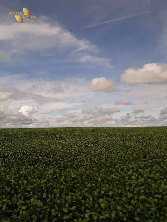Fazenda de 4.773 ha em Nova Xavantina, MT