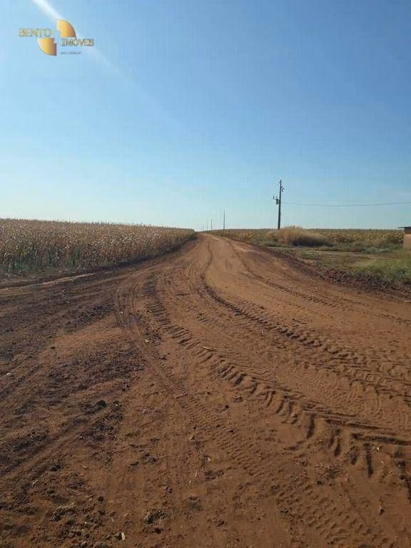 Fazenda de 4.773 ha em Nova Xavantina, MT