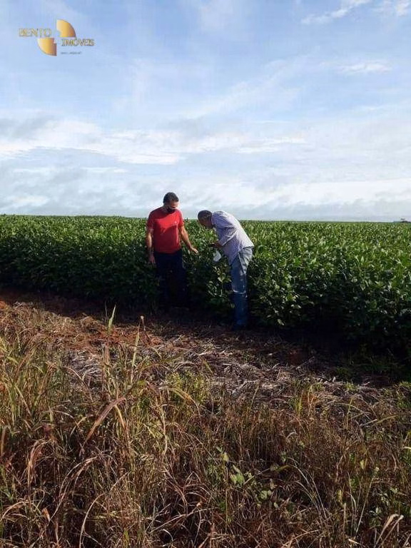 Fazenda de 4.773 ha em Nova Xavantina, MT