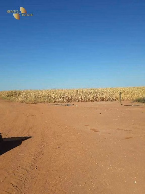 Fazenda de 4.773 ha em Nova Xavantina, MT
