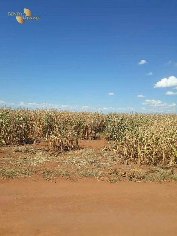 Fazenda de 4.773 ha em Nova Xavantina, MT