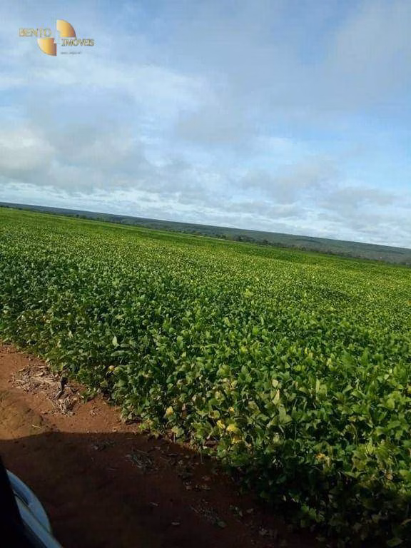 Fazenda de 4.773 ha em Nova Xavantina, MT