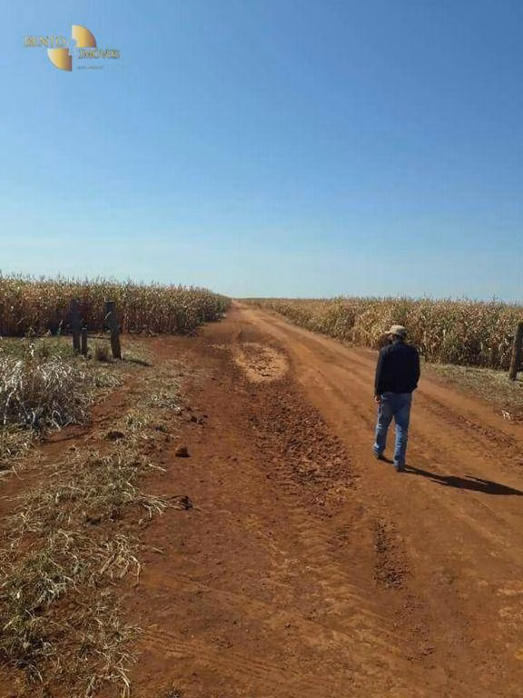 Fazenda de 4.773 ha em Nova Xavantina, MT