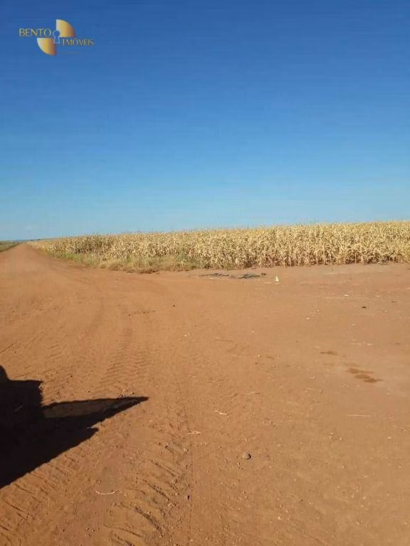 Fazenda de 4.773 ha em Nova Xavantina, MT