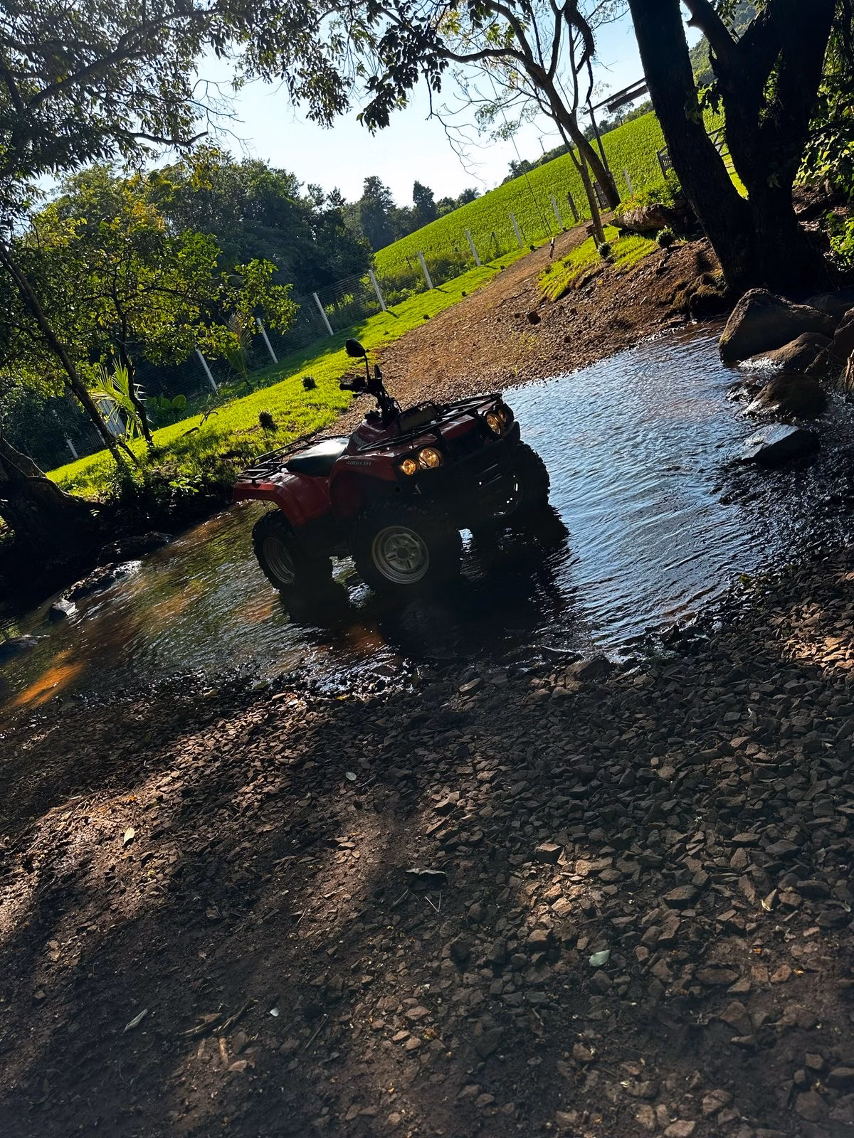 Small farm of 14 acres in Santa Tereza do Oeste, PR, Brazil