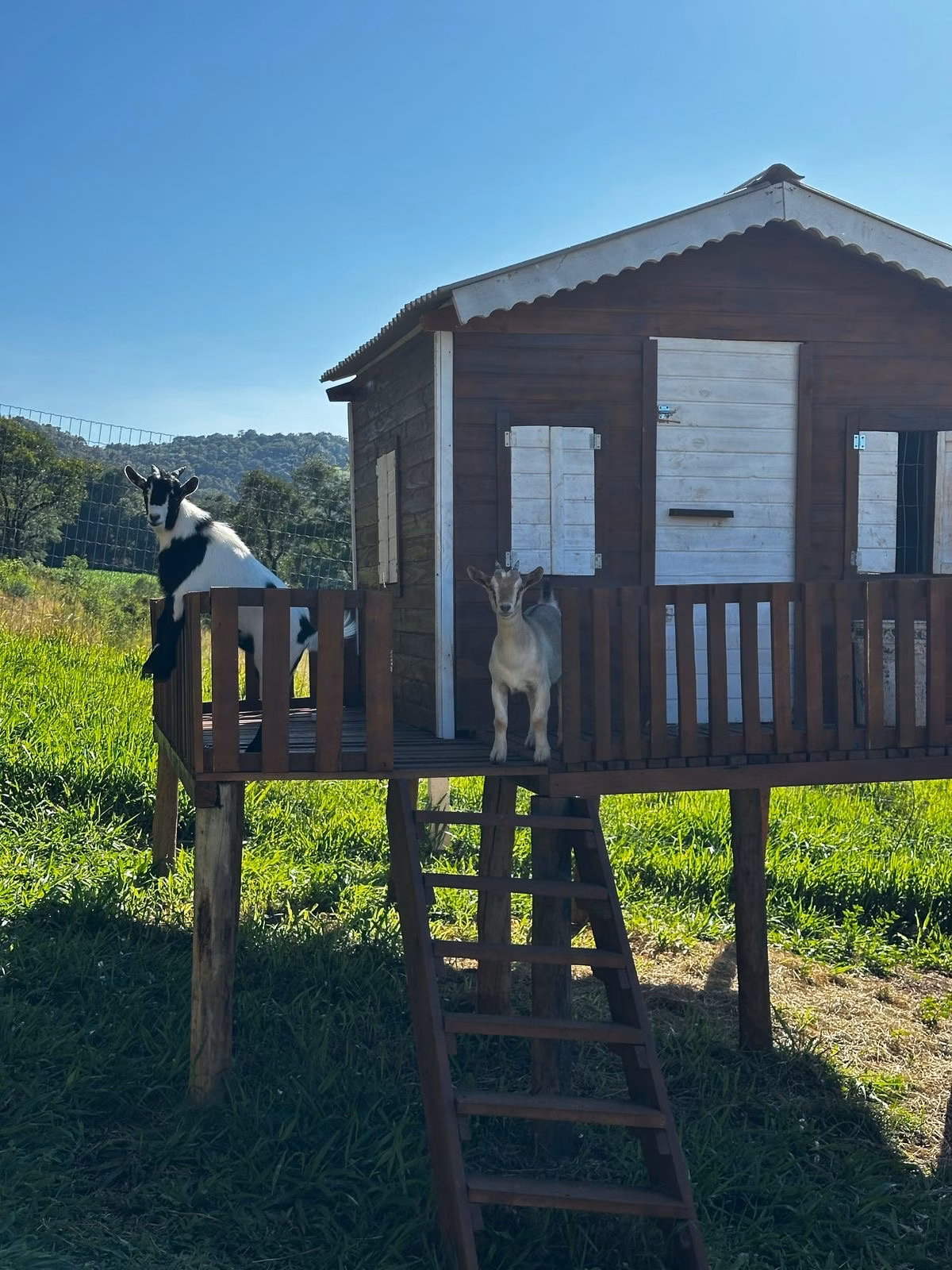 Small farm of 14 acres in Santa Tereza do Oeste, PR, Brazil