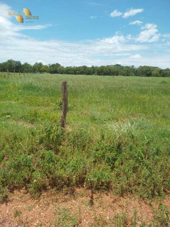 Fazenda de 99 ha em Poconé, MT