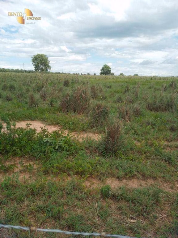 Fazenda de 99 ha em Poconé, MT