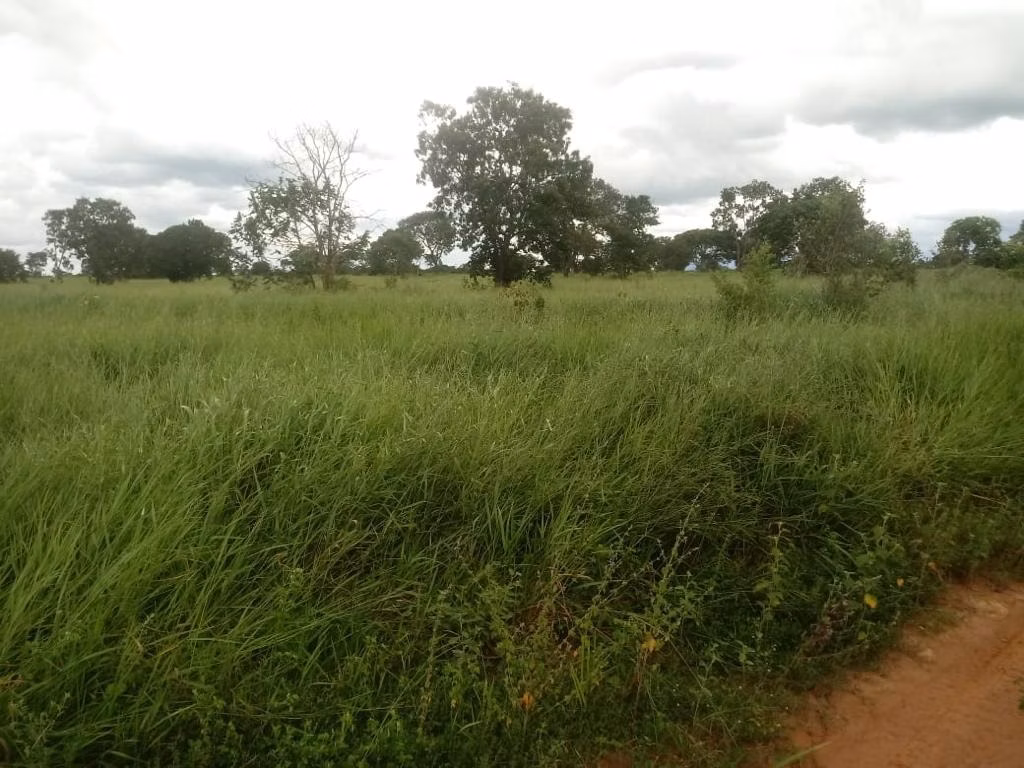 Farm of 2,572 acres in Buritizeiro, MG, Brazil