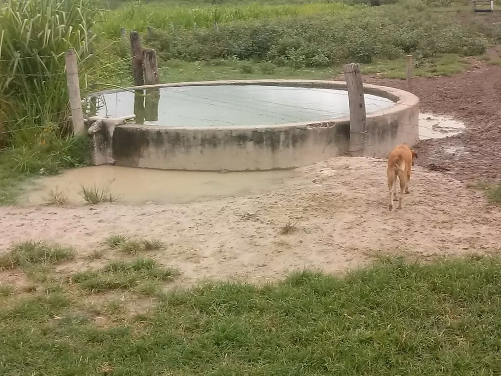 Farm of 2,572 acres in Buritizeiro, MG, Brazil