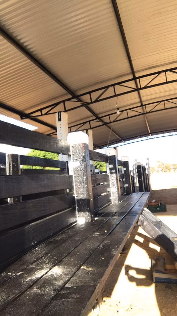 Fazenda de 1.041 ha em Buritizeiro, MG