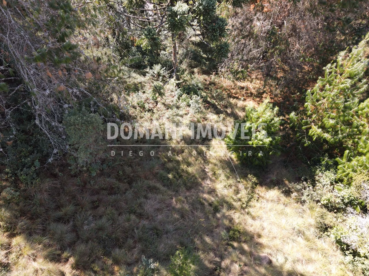 Plot of 2,450 m² in Campos do Jordão, SP, Brazil