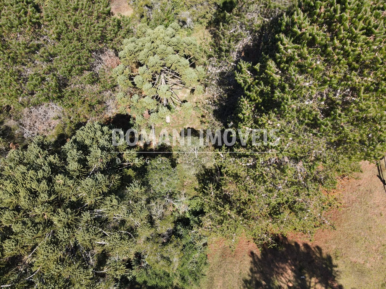 Plot of 2,450 m² in Campos do Jordão, SP, Brazil