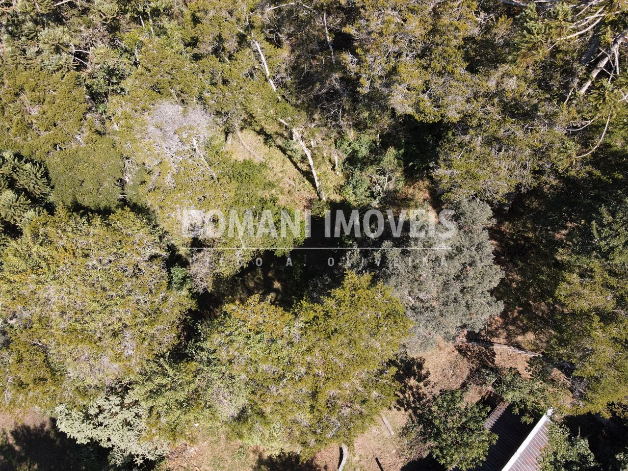 Plot of 2,450 m² in Campos do Jordão, SP, Brazil