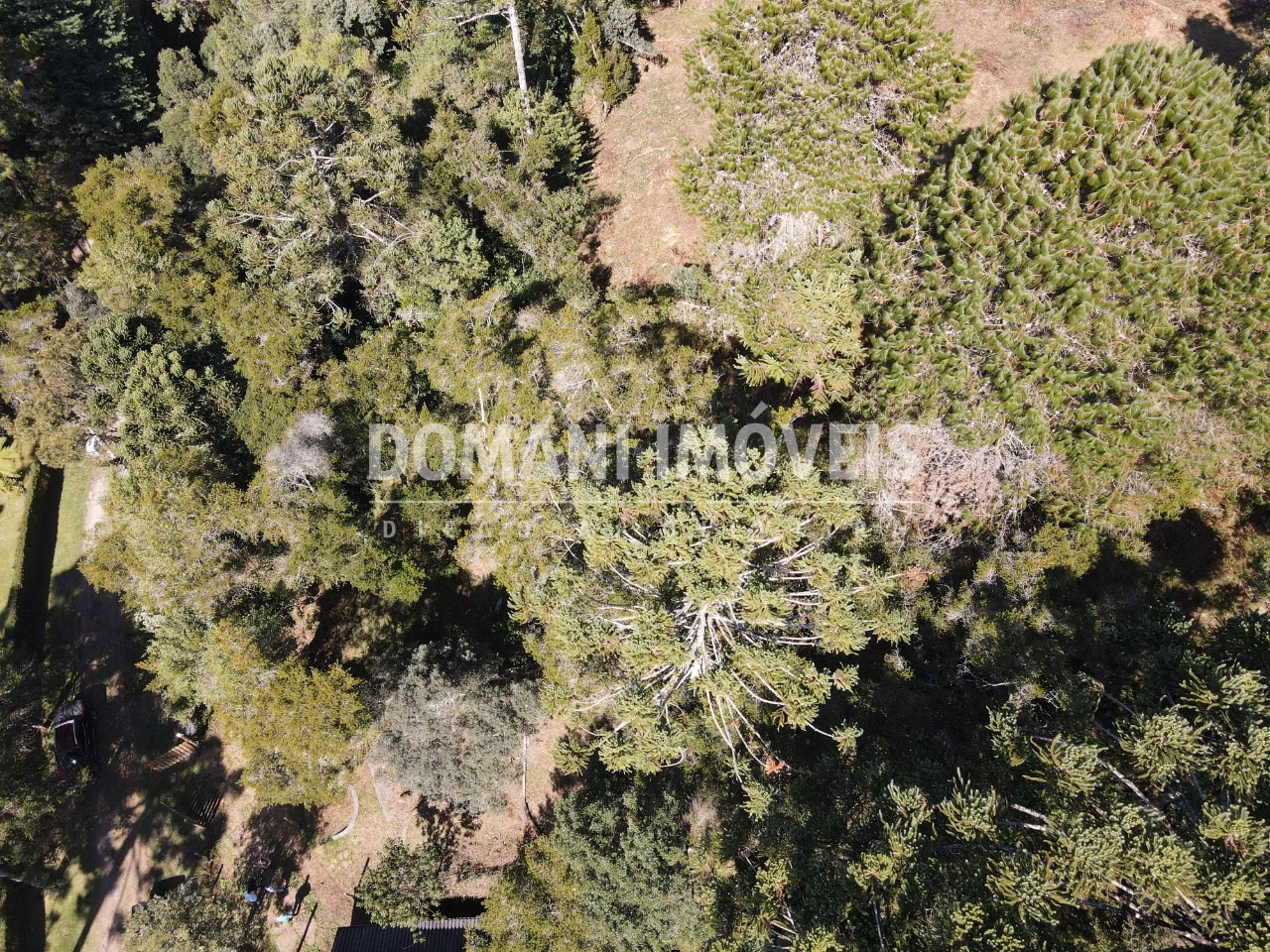 Plot of 2,450 m² in Campos do Jordão, SP, Brazil