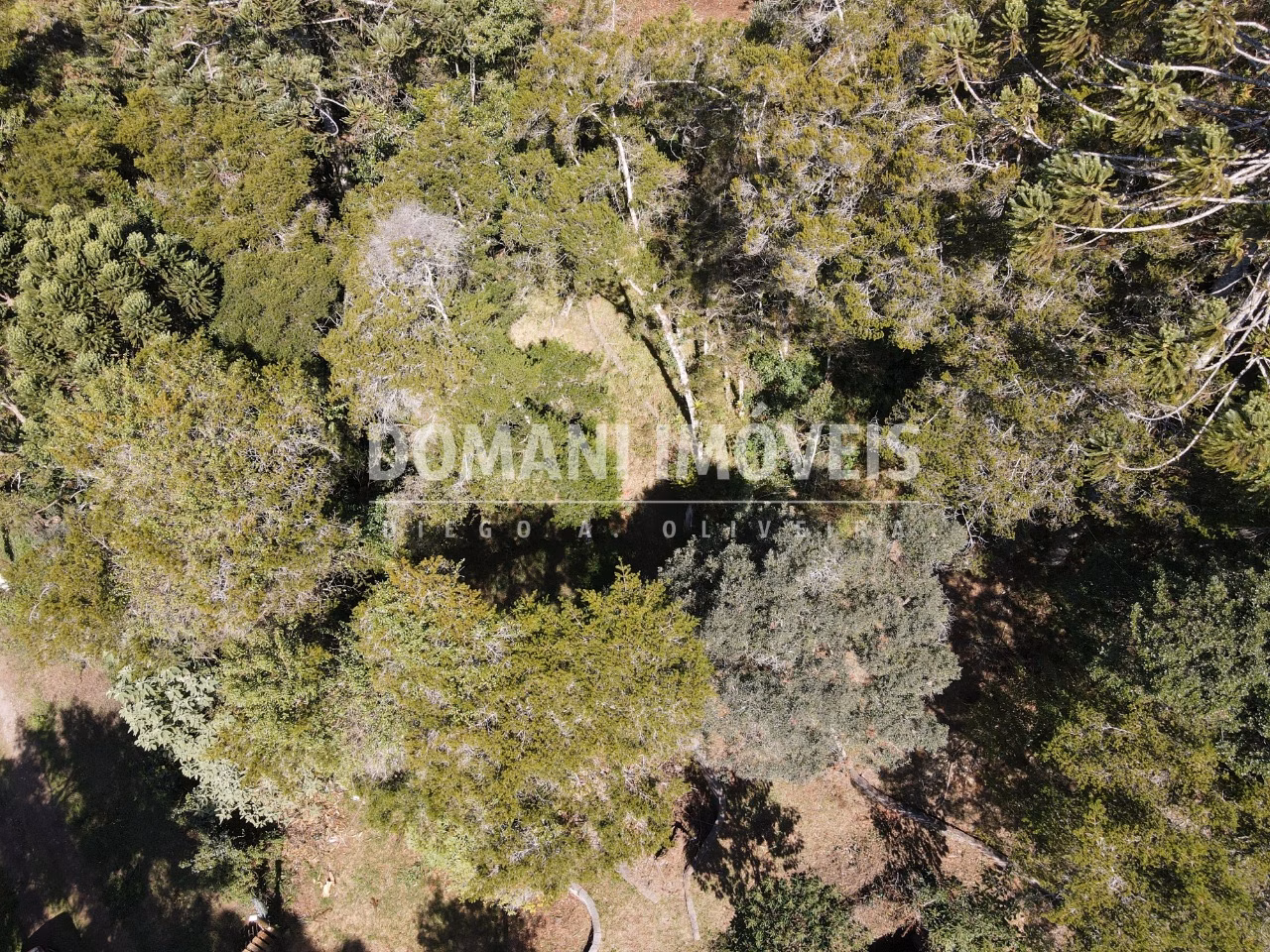 Plot of 2,450 m² in Campos do Jordão, SP, Brazil