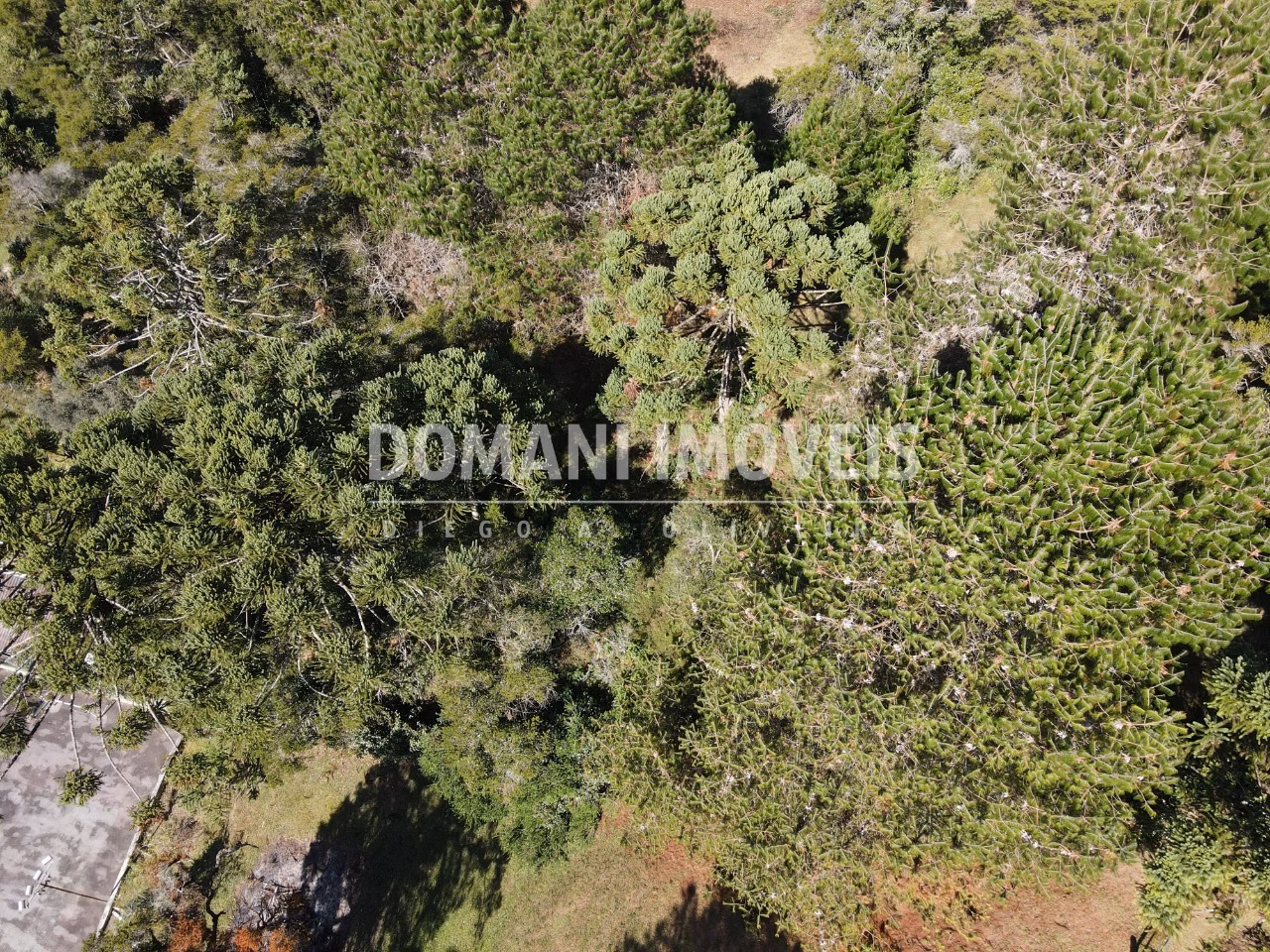 Plot of 2,450 m² in Campos do Jordão, SP, Brazil