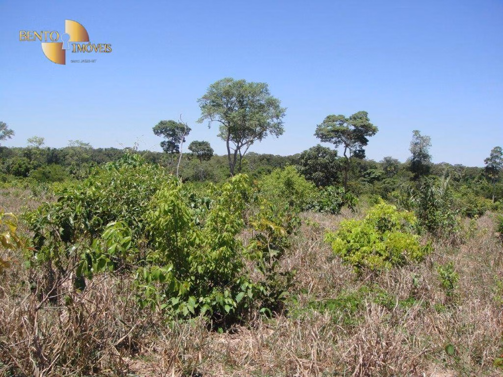 Fazenda de 6.050 ha em Lambari D'Oeste, MT