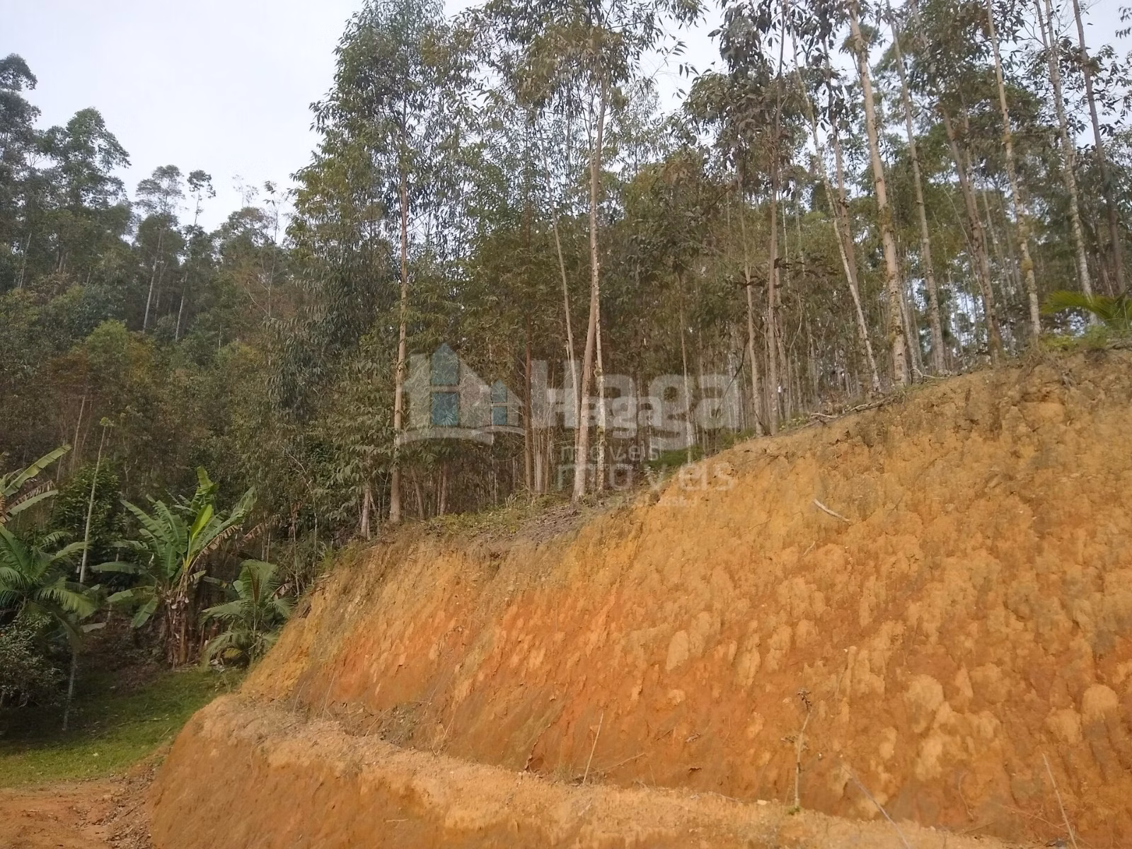 Chácara de 4 ha em Guabiruba, SC