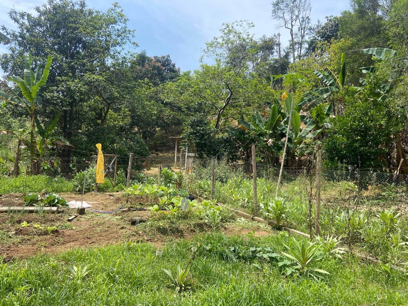 Chácara de 3.600 m² em São José dos Campos, SP
